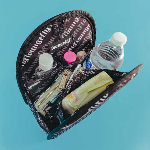 Organisateur mini sac à dos Loungefly - Insert